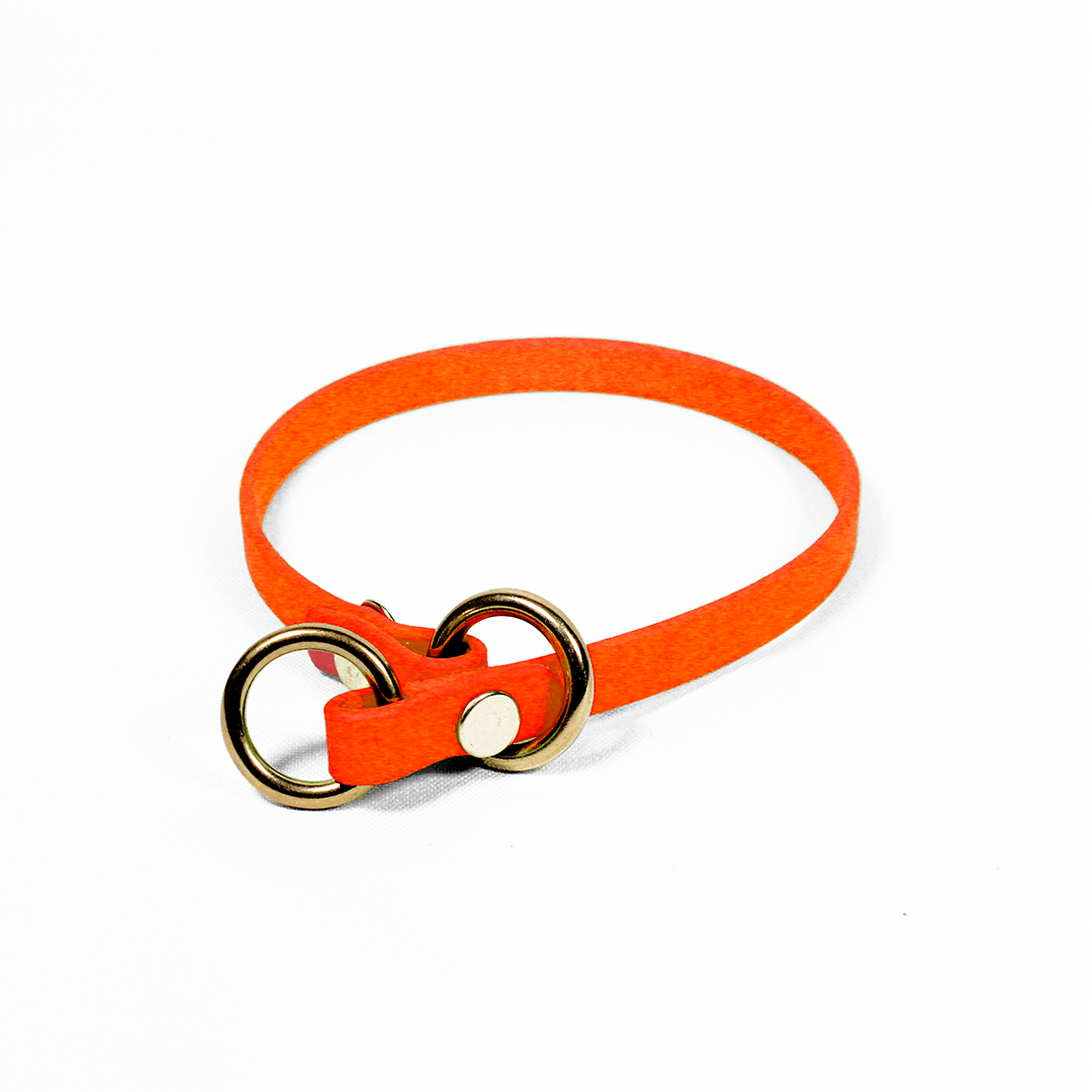 Collar de educación de biothane