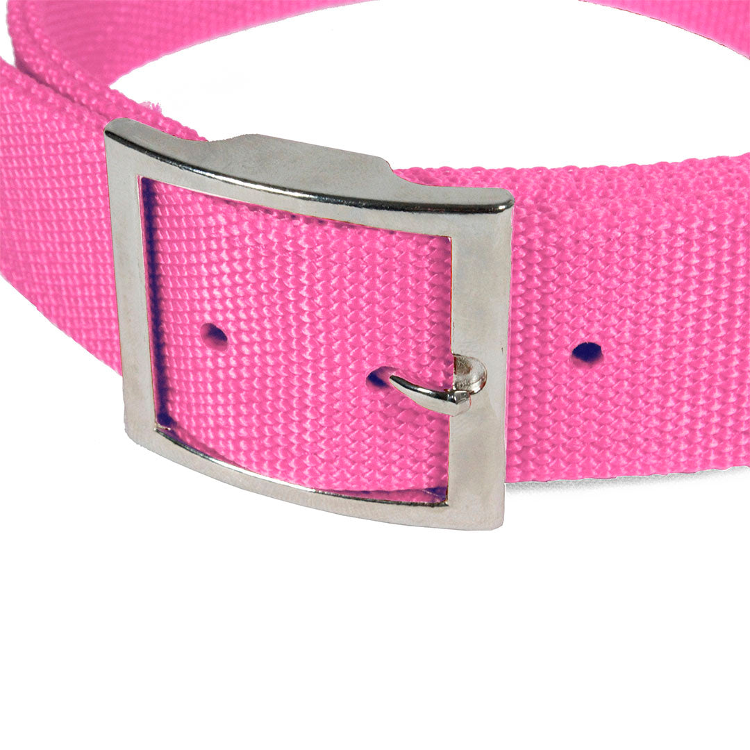 Collar de Nylon