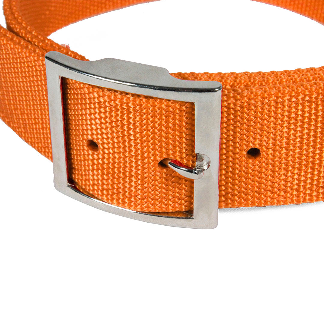 Collar de Nylon