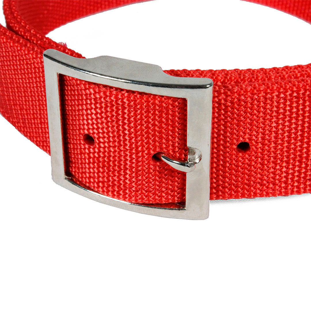 collar-para-perro