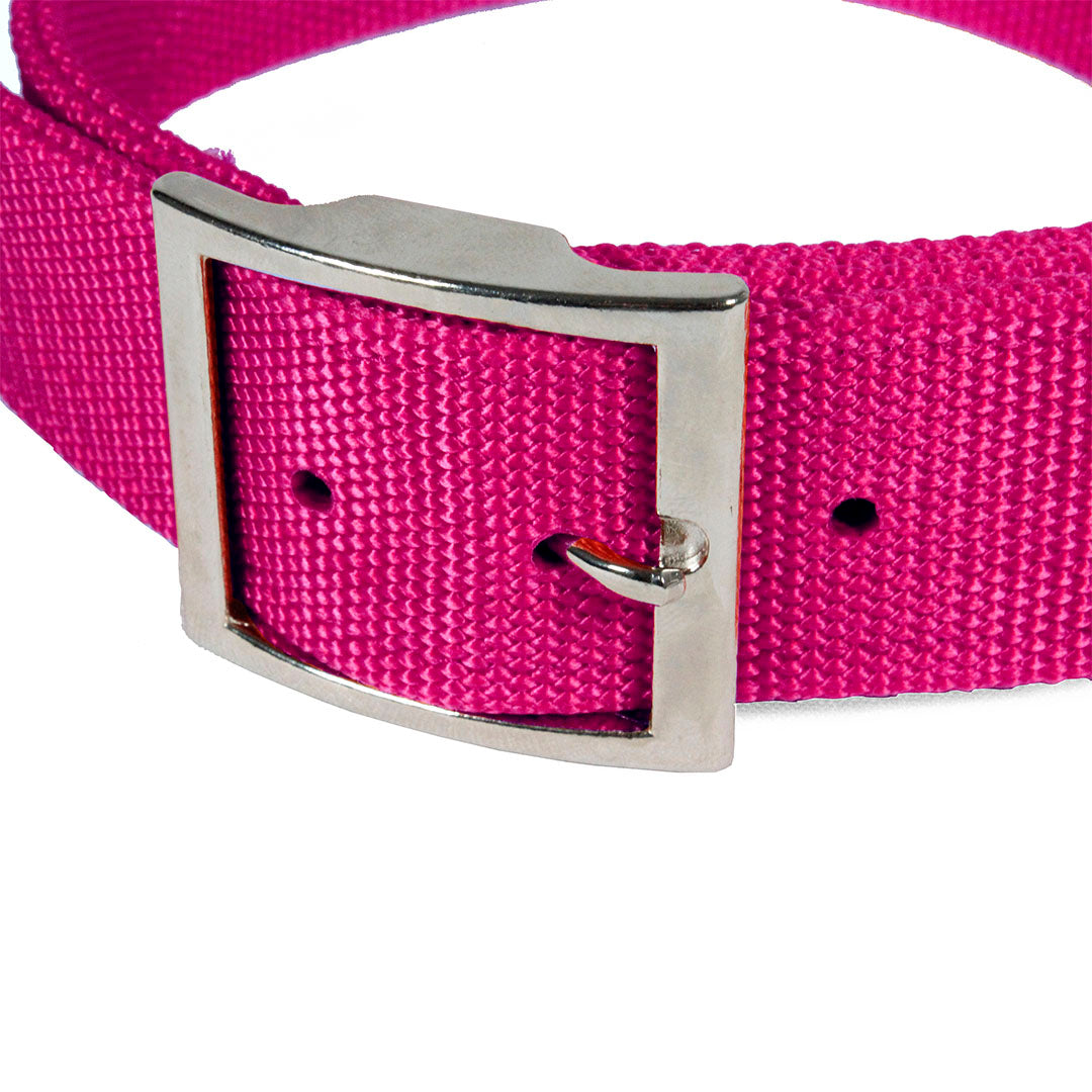 Collar de Nylon