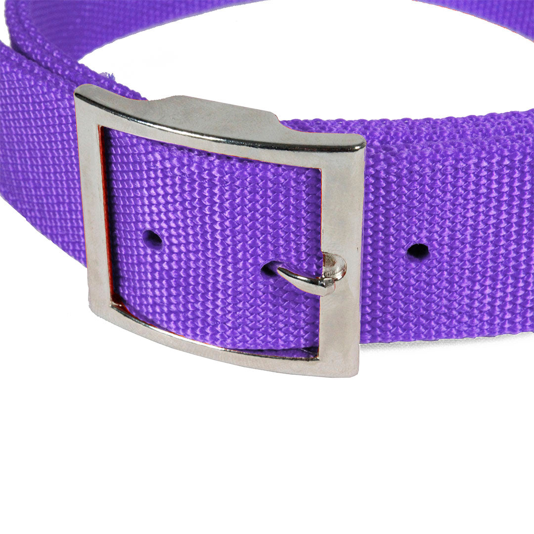 Collar de Nylon