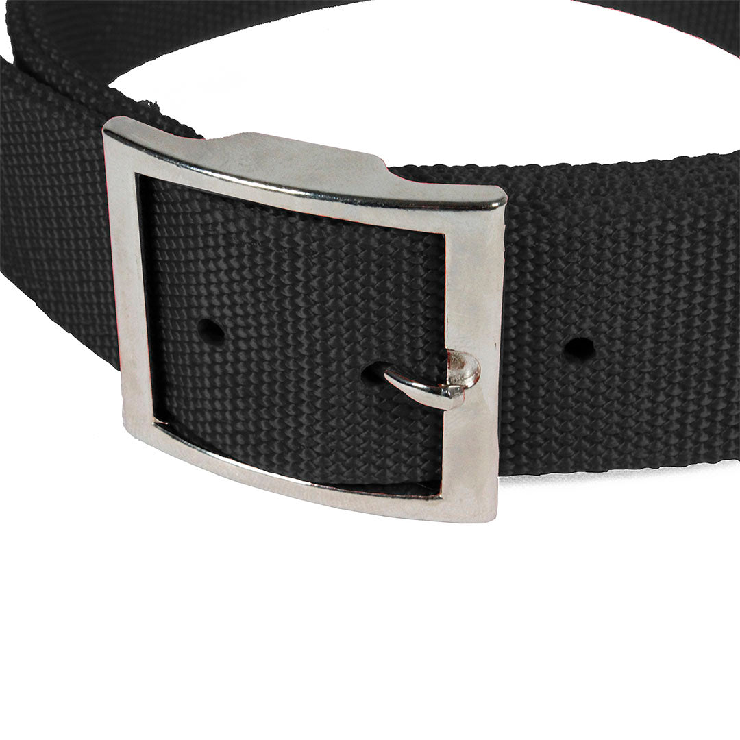 collar-para-perro