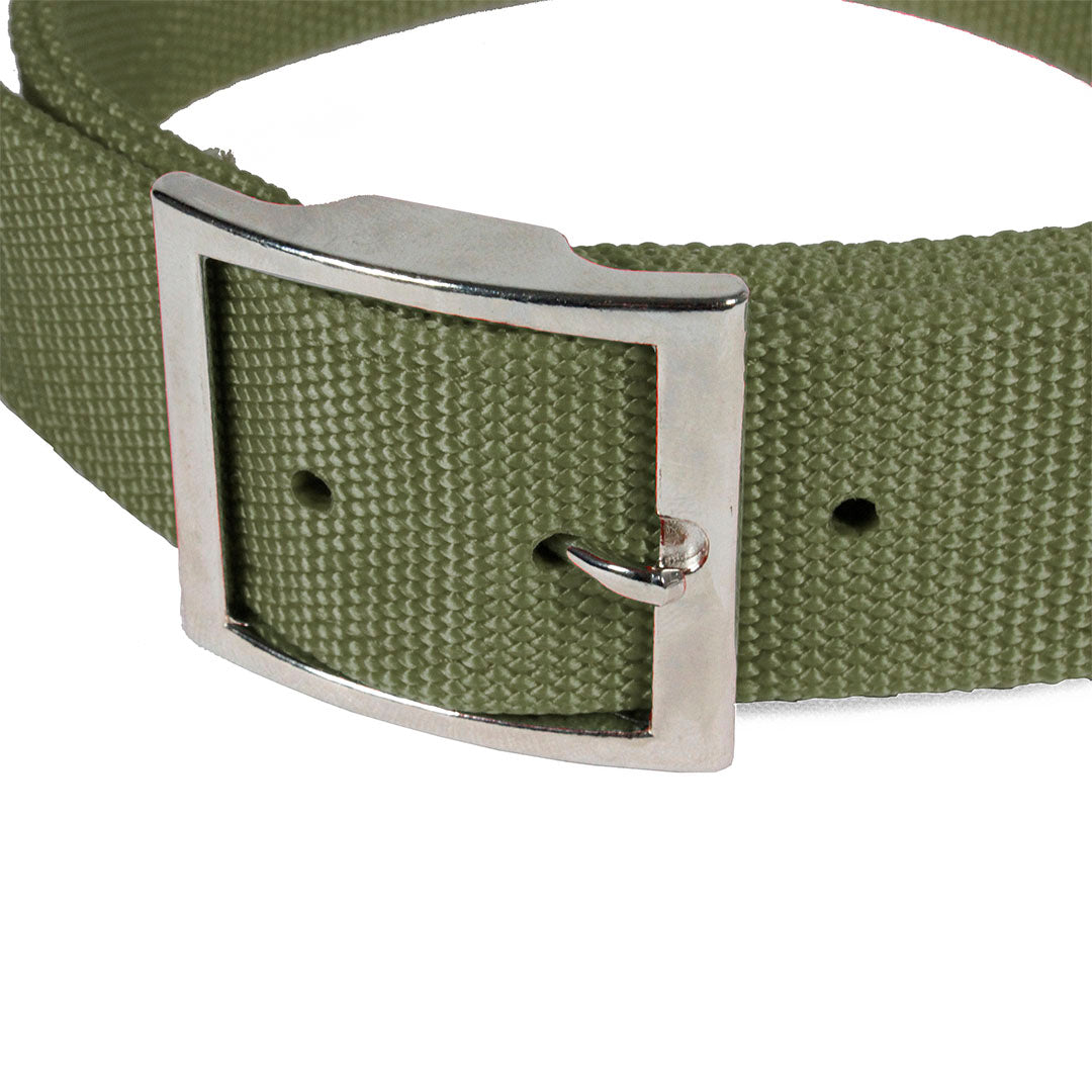collar-para-perro