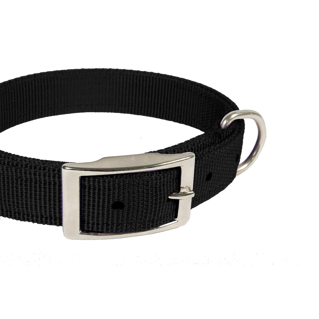 collar-para-perro