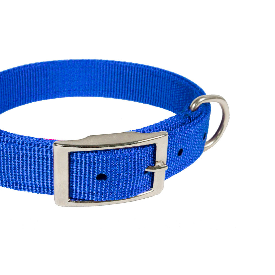 collar-para-perro