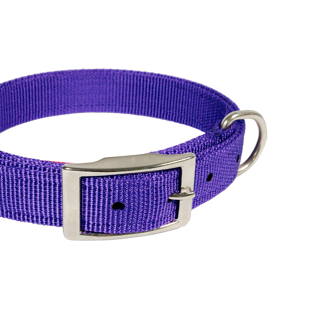 collar-para-perro