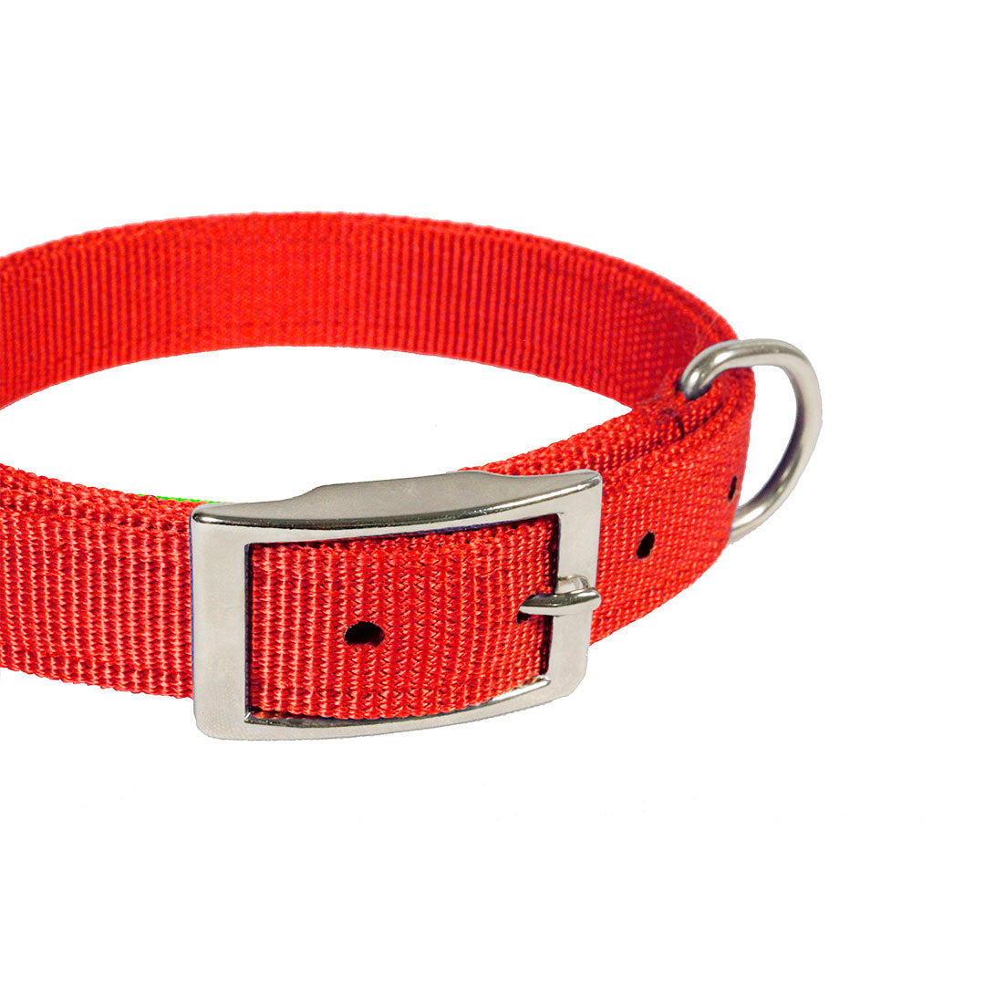 collar-para-perro