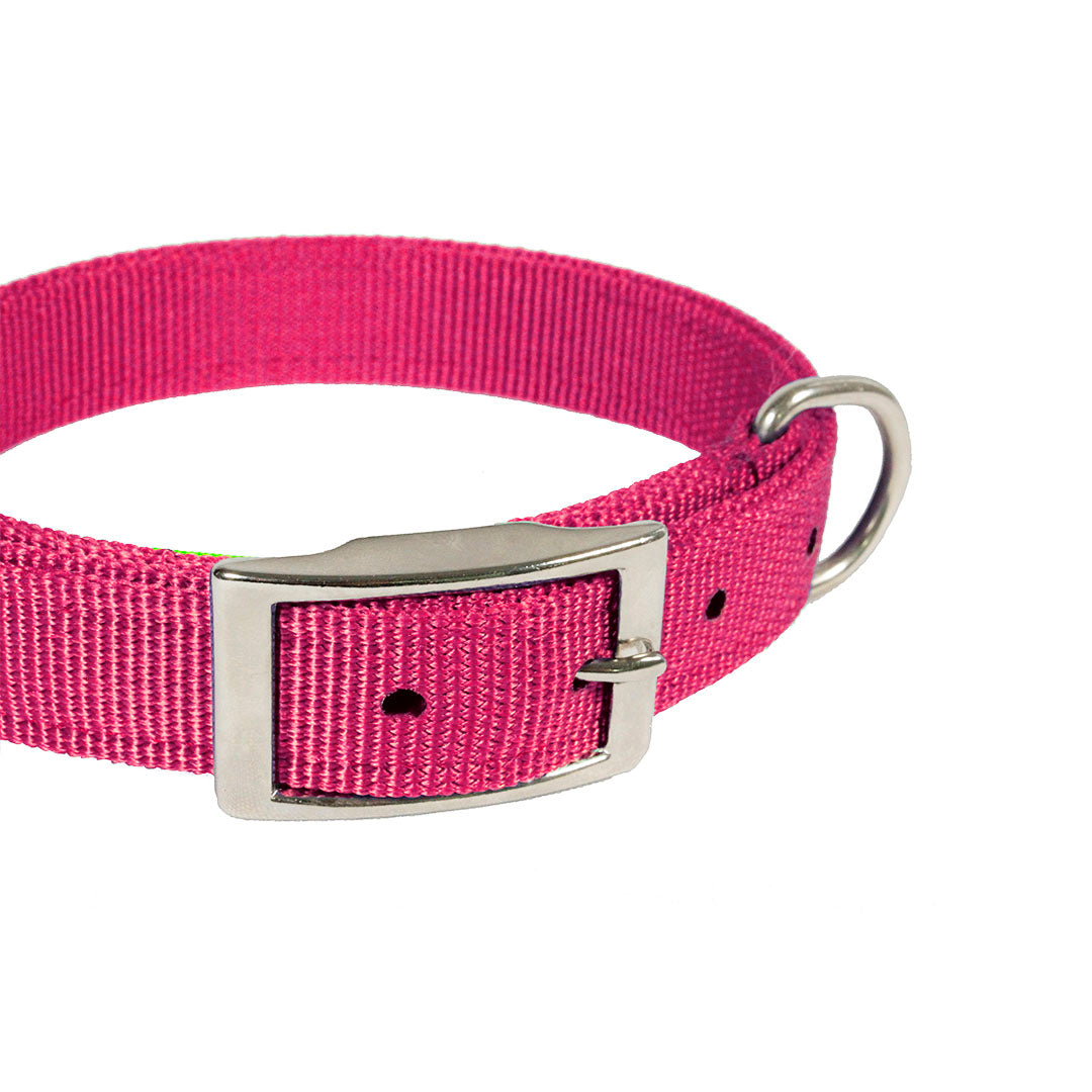 collar-para-perro