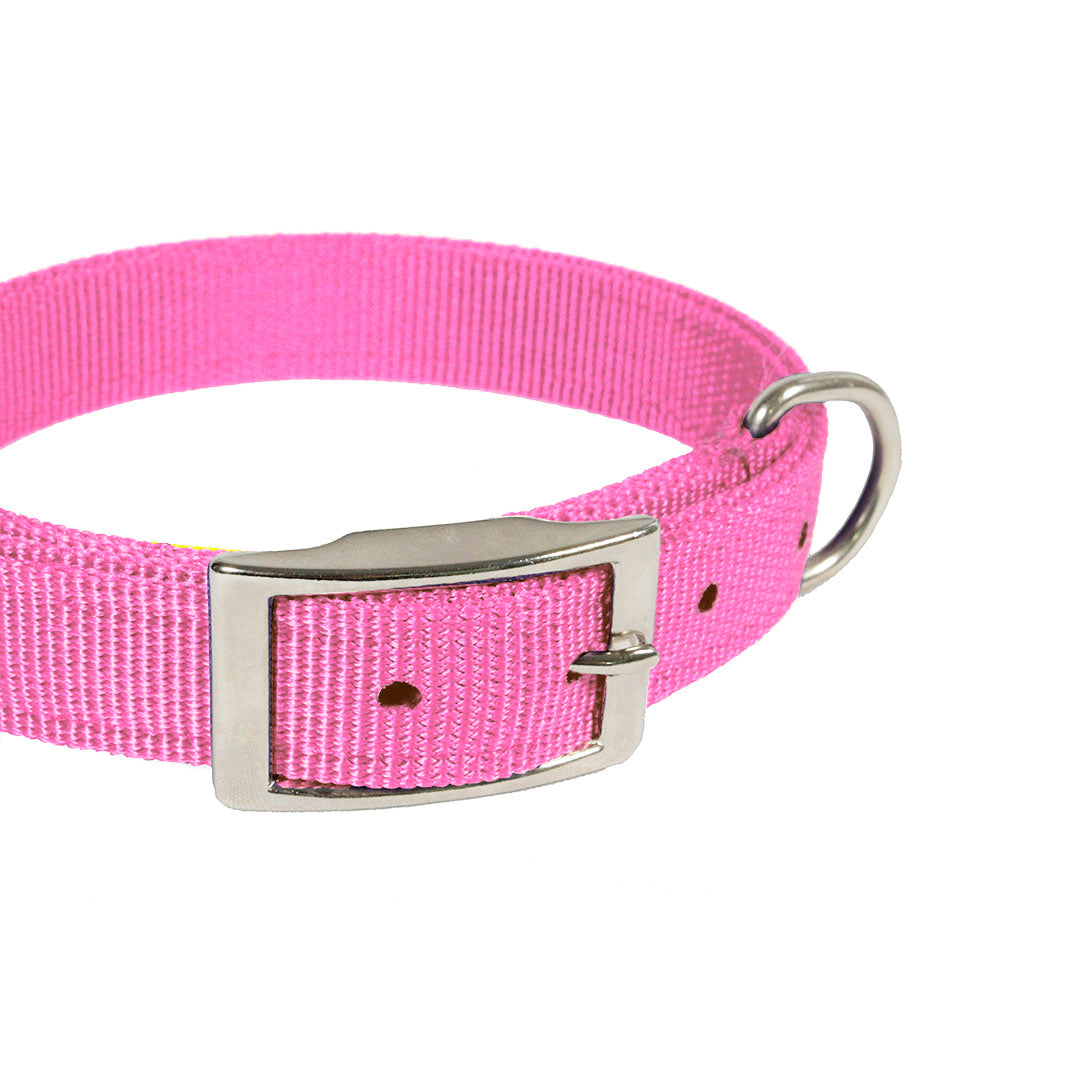collar-para-perro
