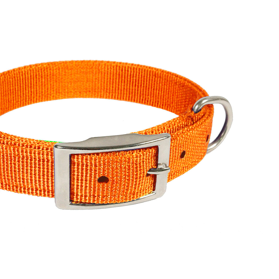 collar-para-perro