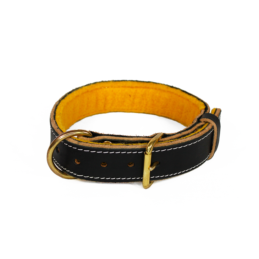 Collar de Piel