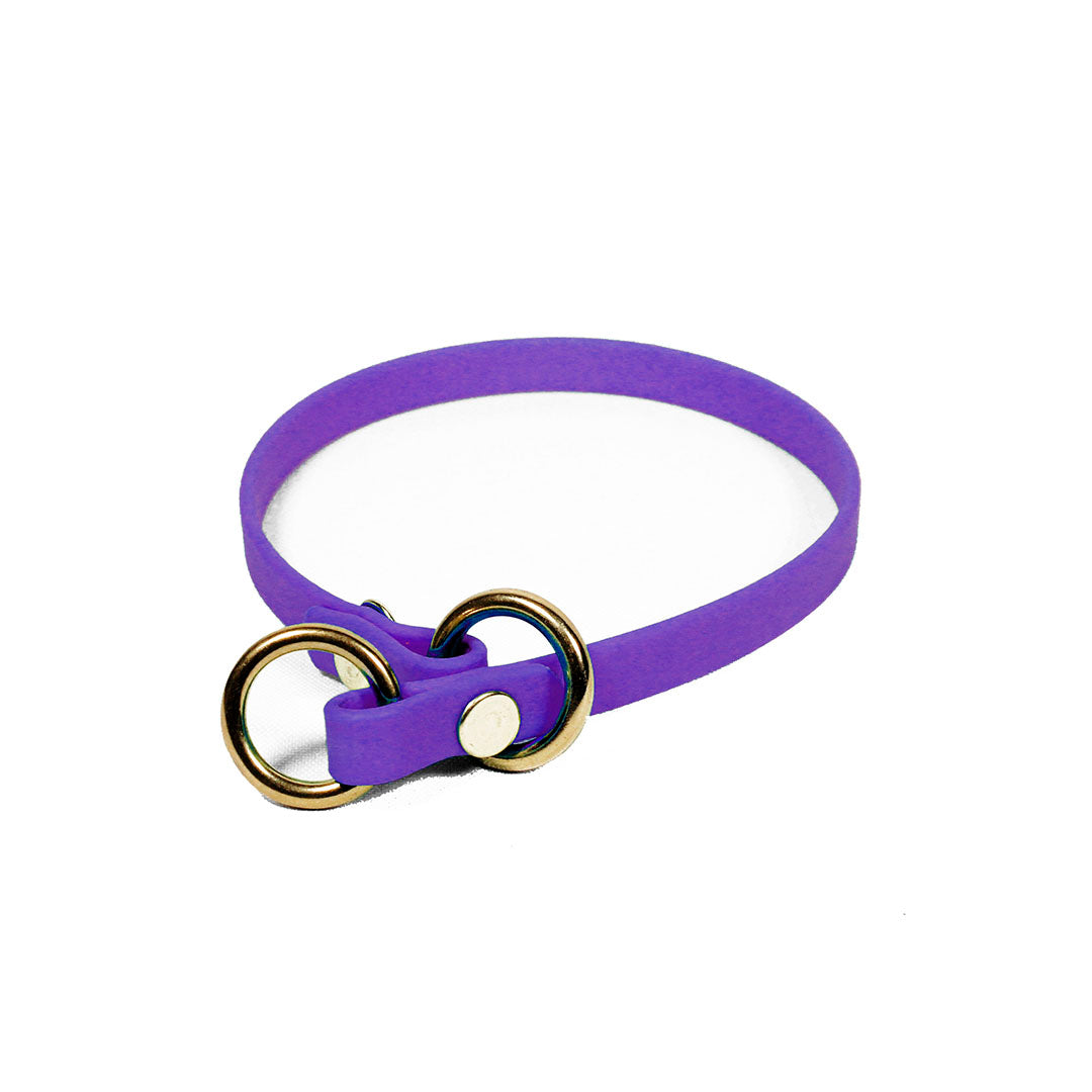 collar-de-entrenamiento-de-biothane-para-perro