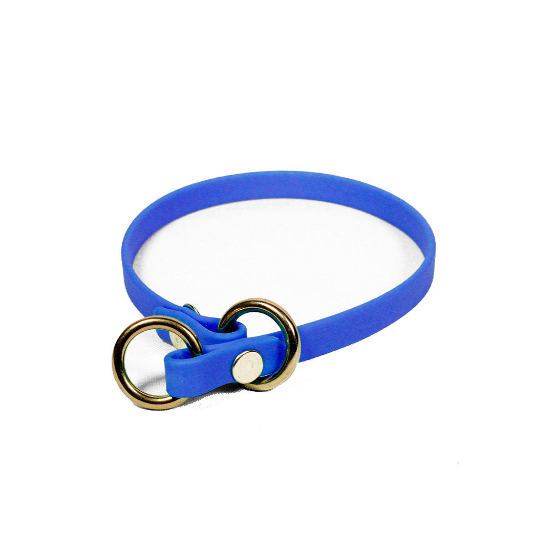 collar-de-entrenamiento-de-biothane-para-perro
