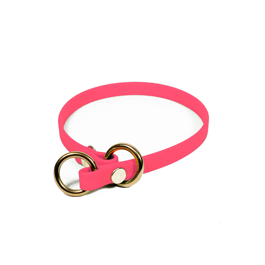 collar-de-entrenamiento-de-biothane-para-perro