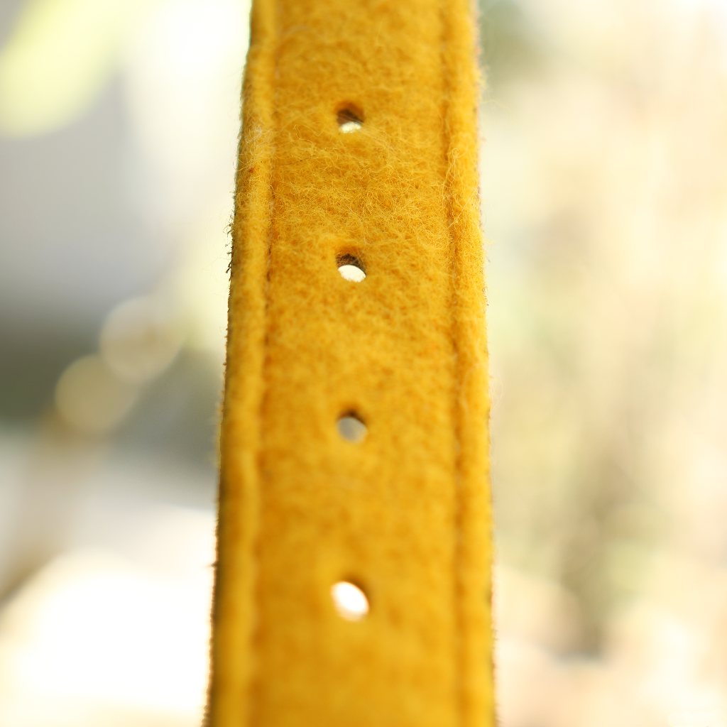Collar de Piel
