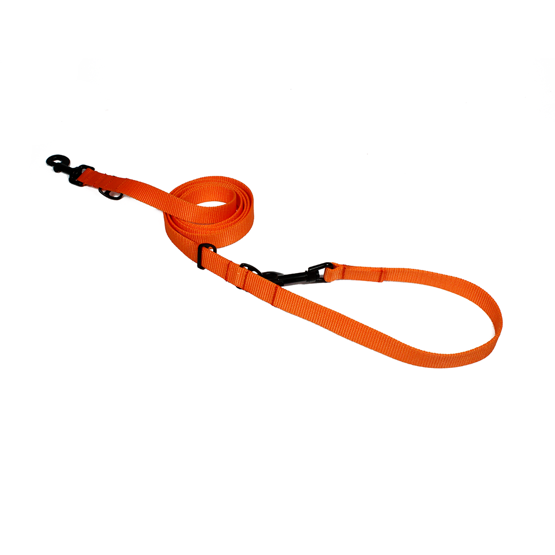correa-multiusos-de-nylon-para-perro
