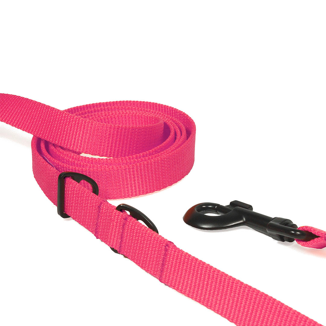 correa-multiusos-de-nylon-para-perro