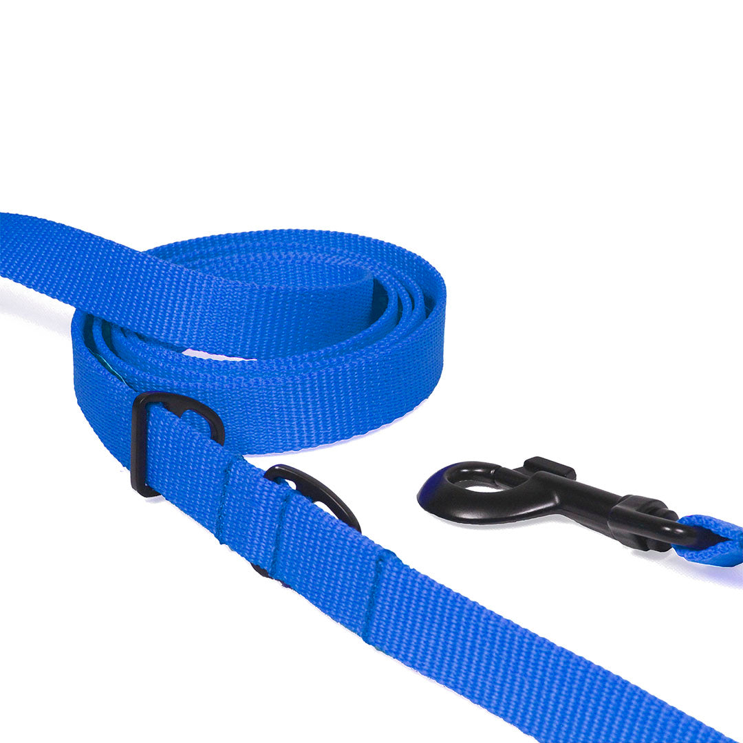 correa-multiusos-de-nylon-para-perro