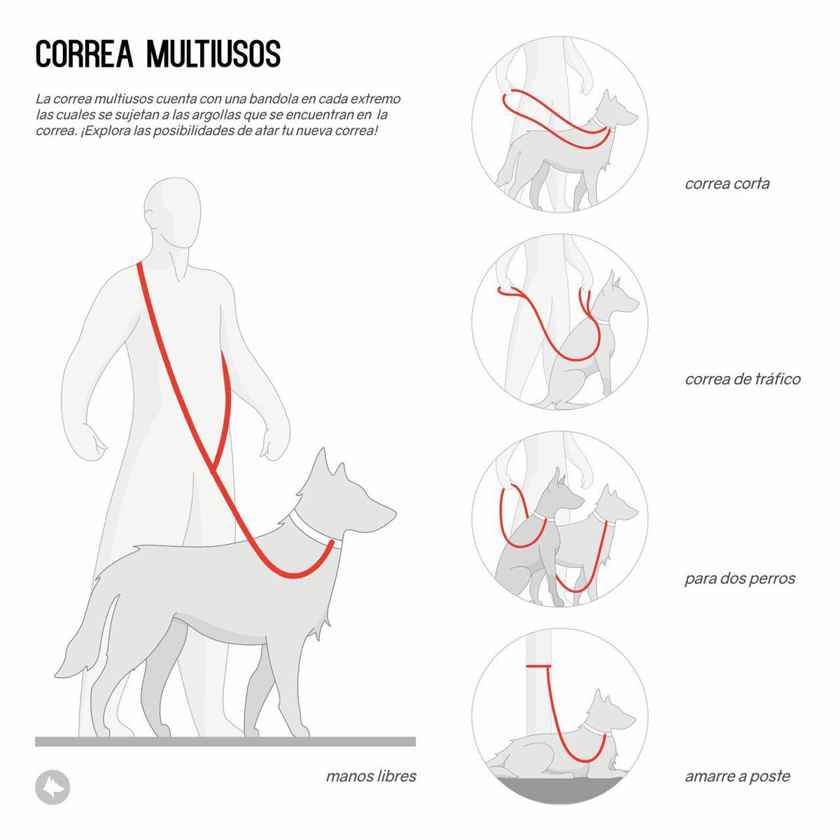 Esquema de uso de la correa multiusos JARU: manos libres al hombro, correa corta, de tráfico, para dos perros y amarre a poste